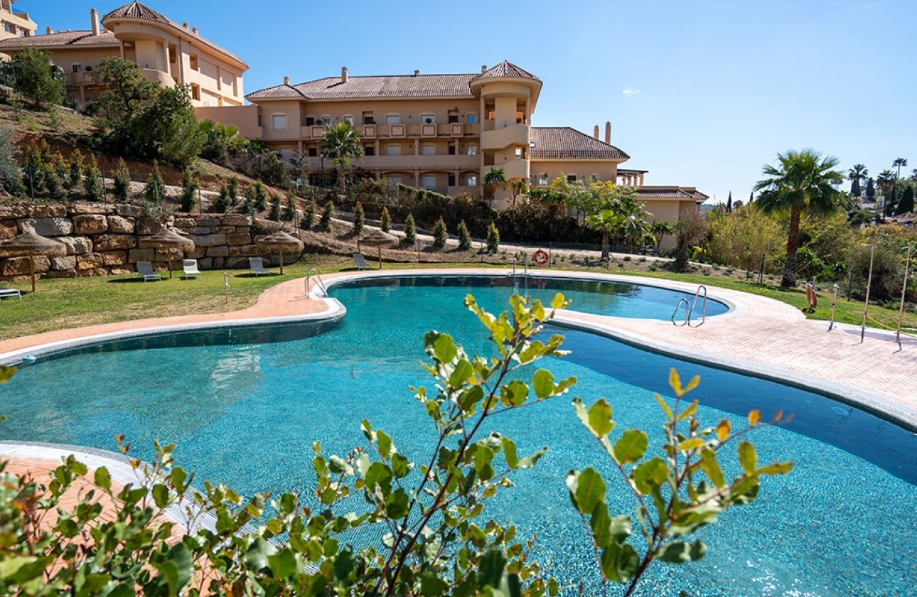 New Build - Apartments - Marbella - Nueva Andalucia
