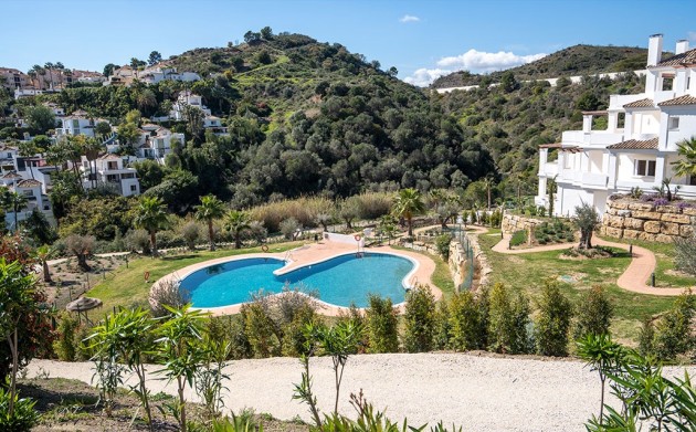 Obra nueva - Apartamentos - Marbella - Nueva Andalucia